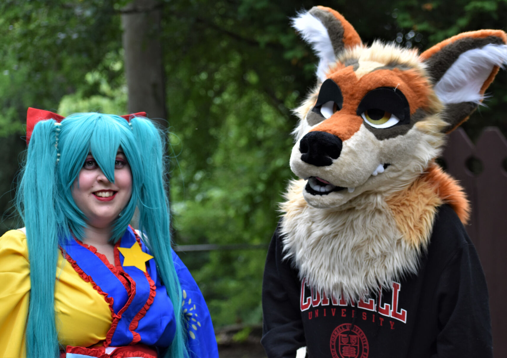 Comic-con gathering draws fans, cosplayers